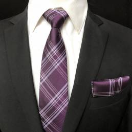 Hombre de negocios profesional tejido Classic comprobar corbata