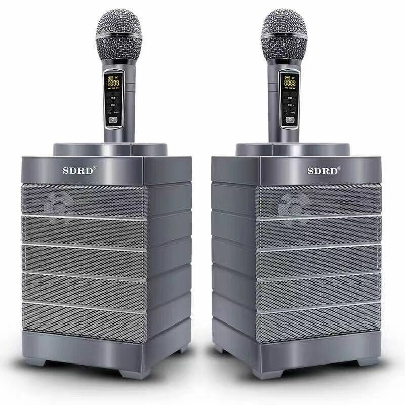 SDRD SD128 2x15W bluetooth 4.2 Altavoz de reproductor de karaoke inalámbrico Micrófono Sistema de altavoz KTV para el ho