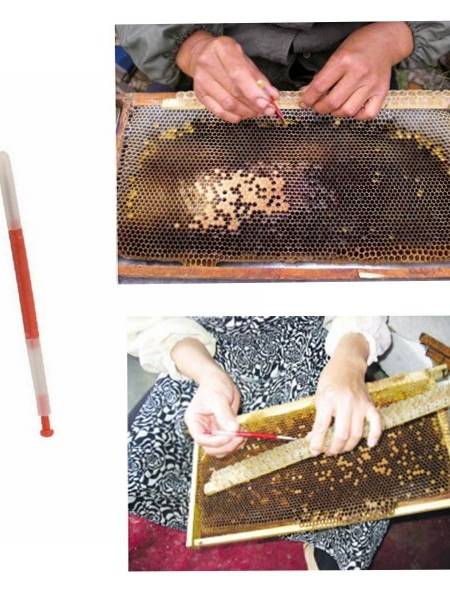 Instrumentos de la apicultura beekeepers grafting instrumentos injerta de la aguja del apicultor del tipo retractable