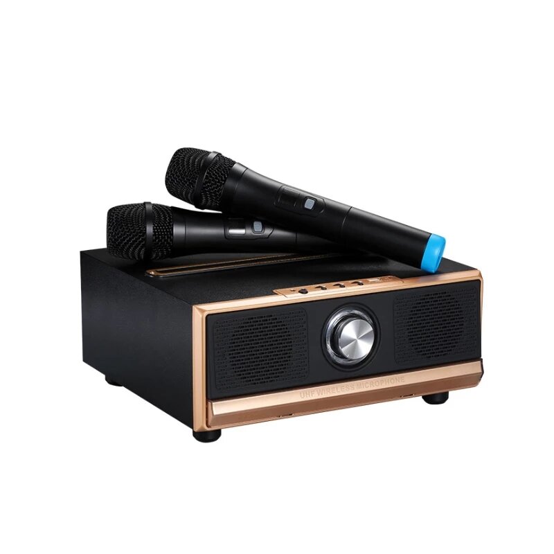 Q13 Reproductores de karaoke Bluetooth Home KTV Subwoofer Spaeker Altavoz de audio y TV para teléfono portátil con 2 ina